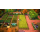 Switch Fae Farm - 1179827 - zdjęcie 2